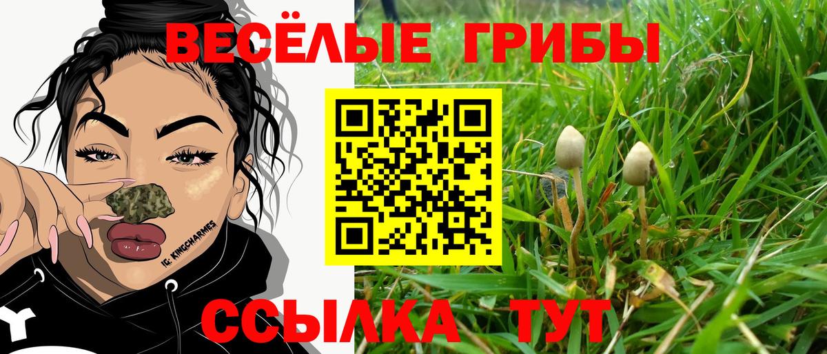 Псилоцибиновые грибы Psilocybine cubensis  Вход с VPN  магазин  наркотиков  Нарткала 